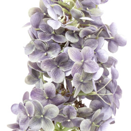 Vintage Cone Hydrangea Stem – Violet 